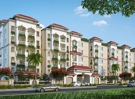 Y19-21-Sudha-Tirupathi- (1).jpg