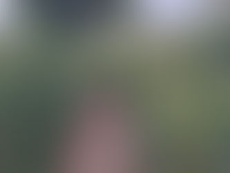 Phase 2 of the Maze rejuvenation completed