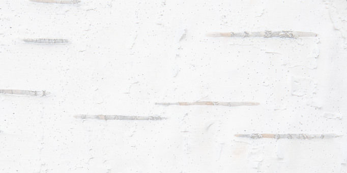 OAC Banner -NEW-9.png