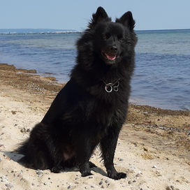ostsee.jpg