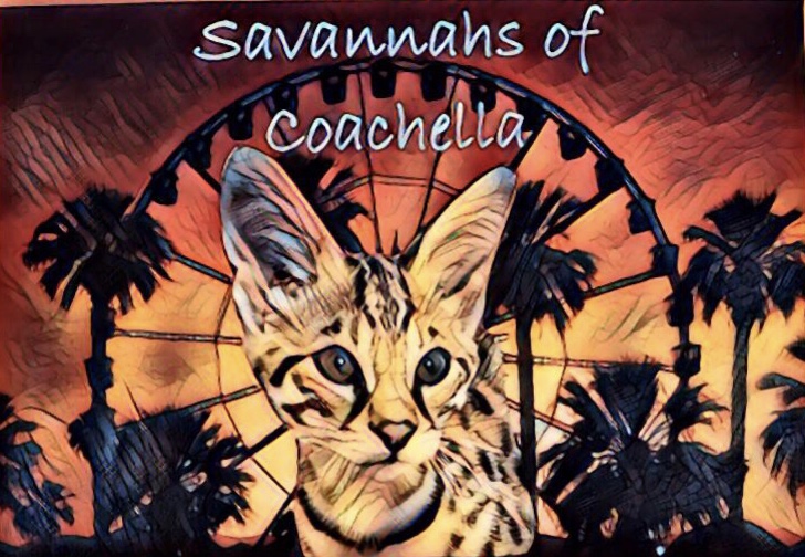 Savannahs Of Coachella logo
