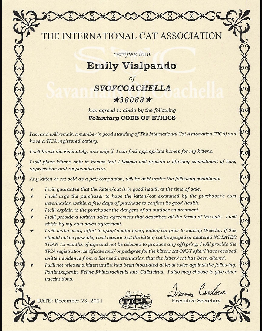 Code Of Ethics.JPG