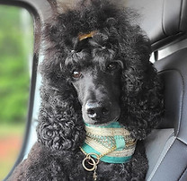 Josie hair.jpg