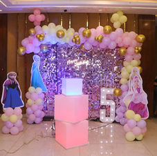 Frozen – Birthday Themes & Decoration Ideas