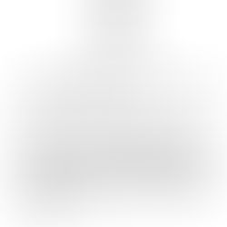 Parecer Conselho Fiscal 2020