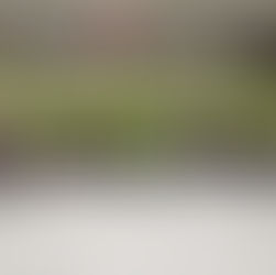 Reinicio das actividades do ano 2020