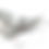 Thumbnail: In Memory Pins - Dove Silver Plated Funeral Keepsakes/Favour