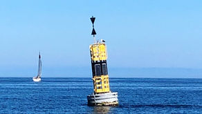 Gastbeitrag vom Captain: Was sind Sinn und Zweck von CTS und Pilotage?