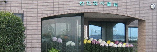 Top Animation01.gif