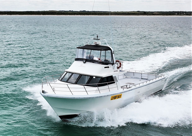 Interceptor drone photo.jpg