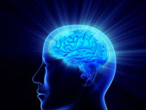 The Mind: Foundation of a Healthy Lifestyle and Longevity