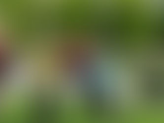 Qigong im vibes Leechgasse