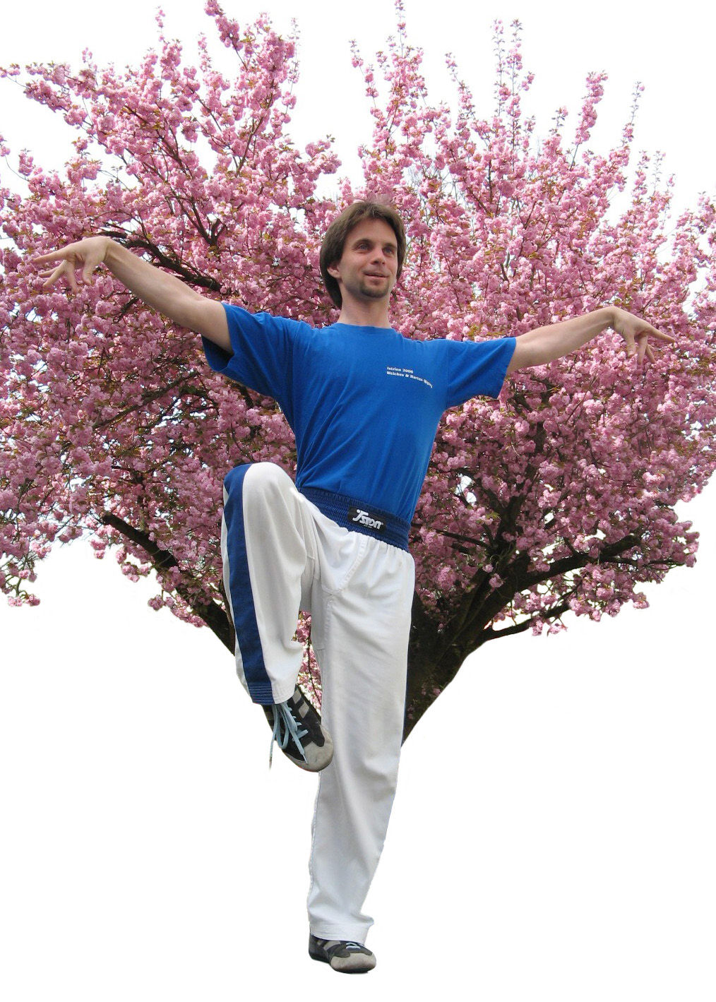 Video Kurs: Das Qigong des weißen Kranichs