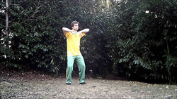 video Kurs: Spiralübungen des Qigong