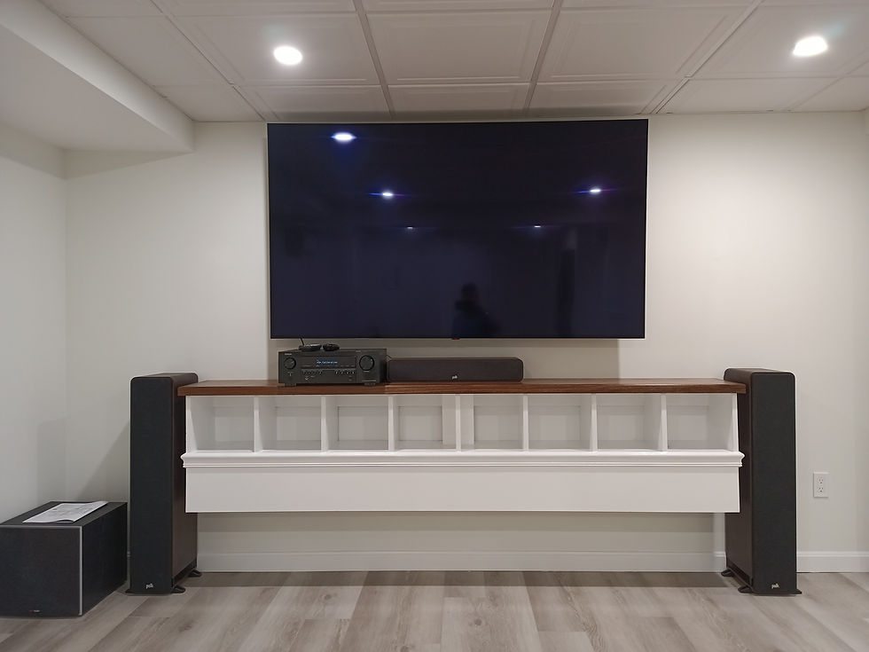 Basement Remodel
