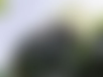 Virar DaSquina: Contar Portugal a cantar