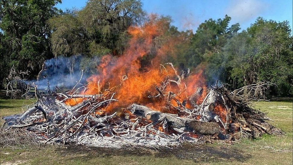 Sunnyhill-Pile-Burn-e1743436948253.jpg