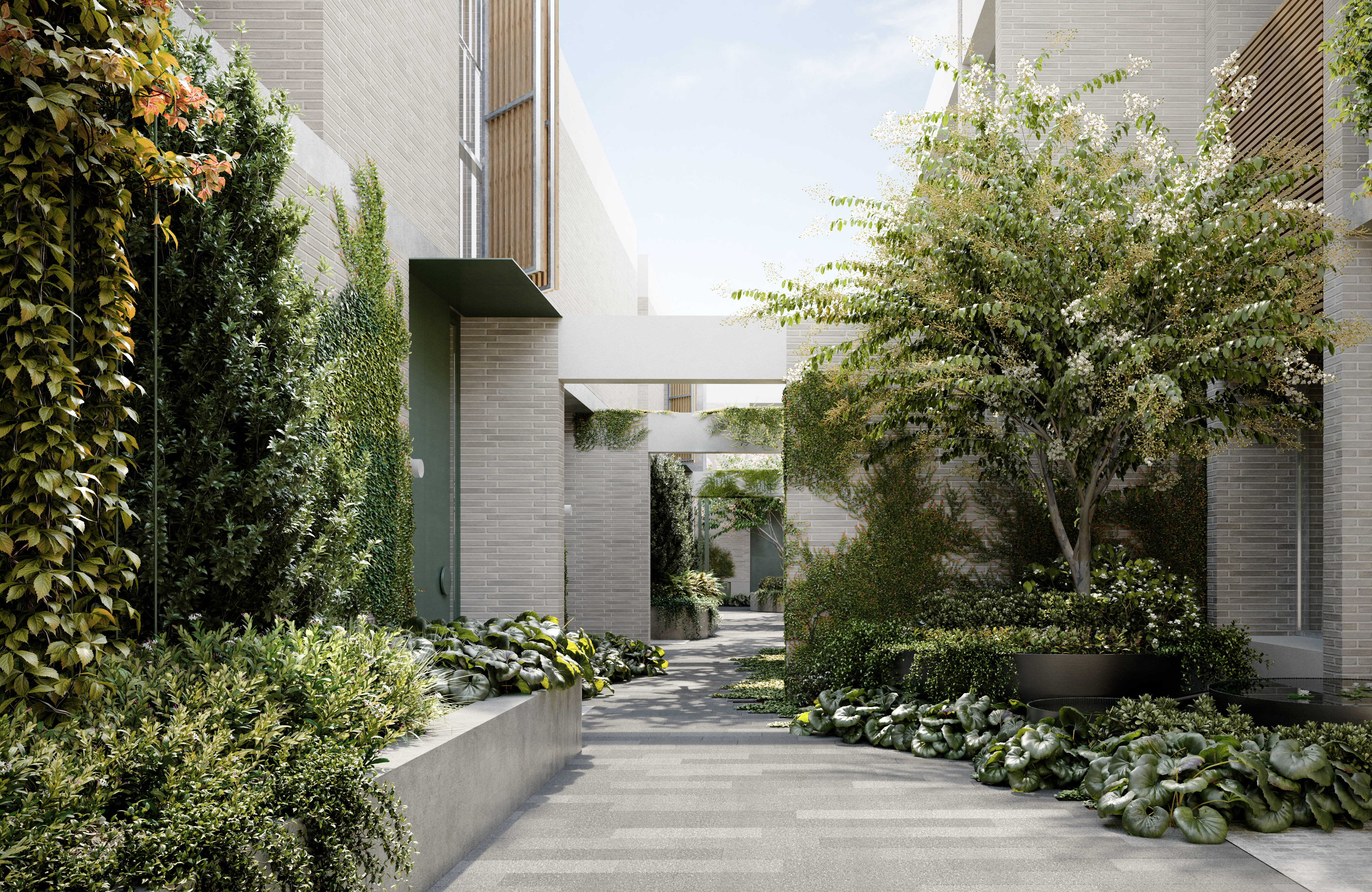 50 Sycamore St, Malvern East - Thumbnail 3