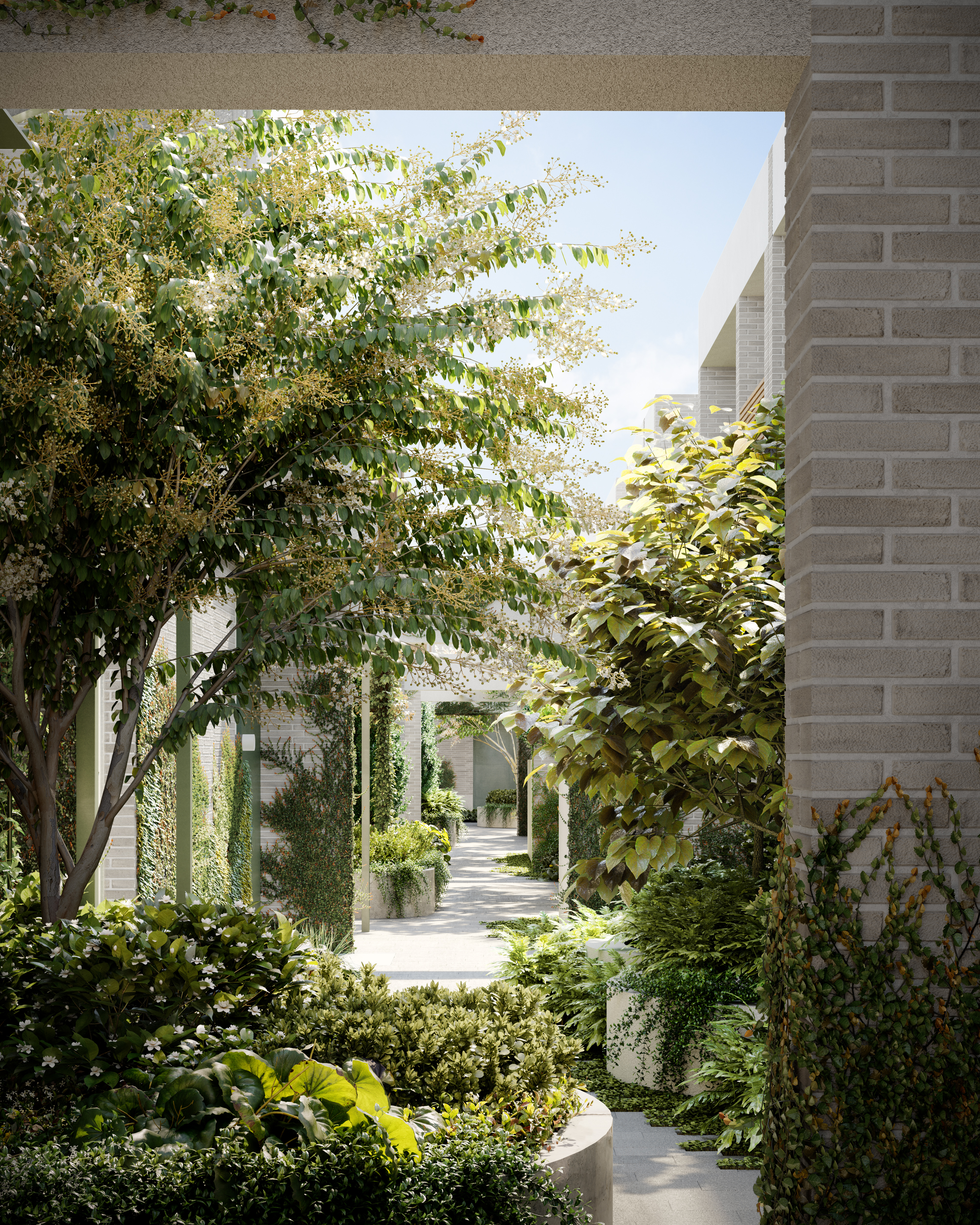 50 Sycamore St, Malvern East - Thumbnail 5