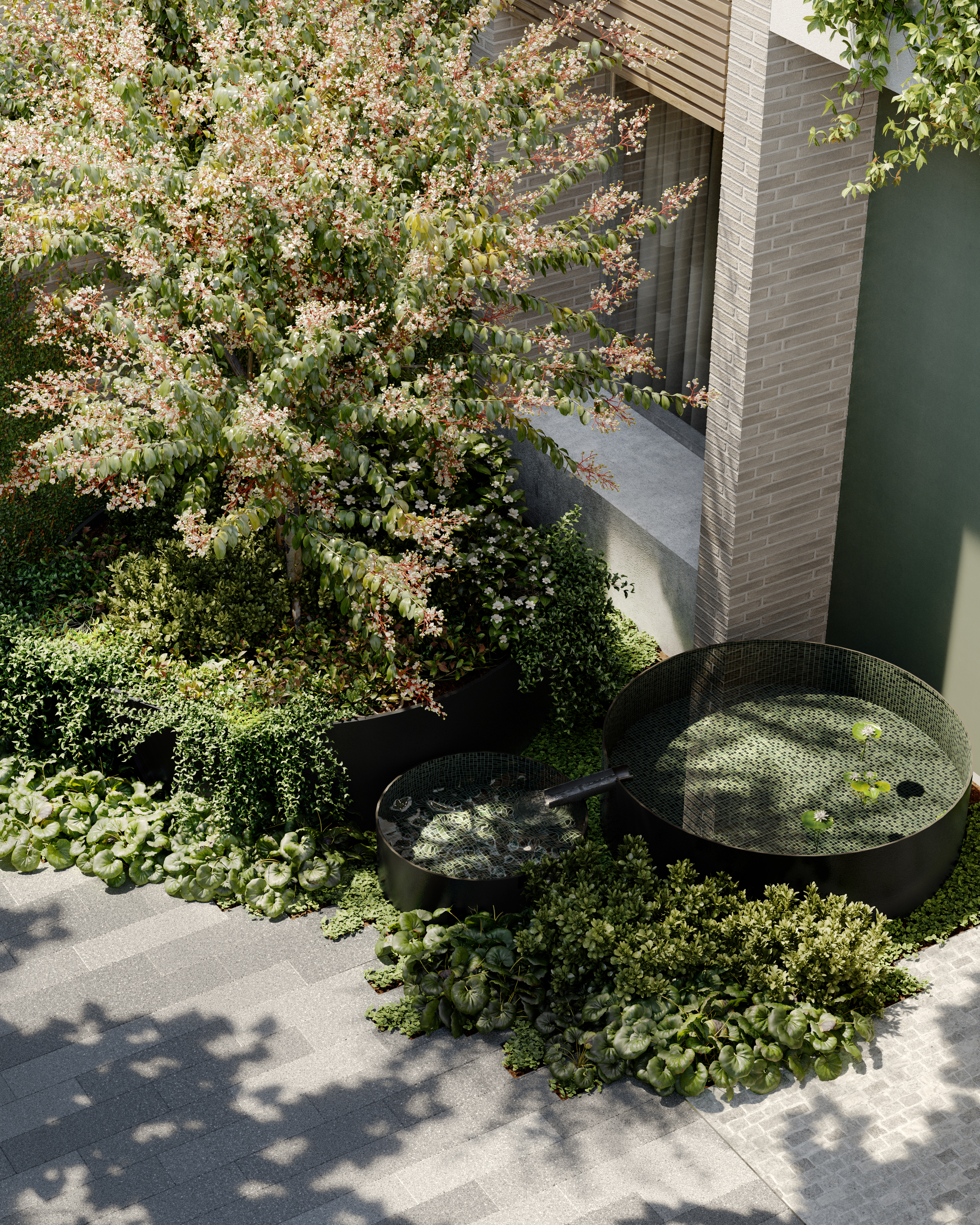 50 Sycamore St, Malvern East - Thumbnail 4