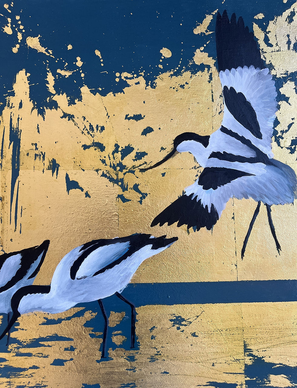 Thumbnail: "Avocet at Sunset"