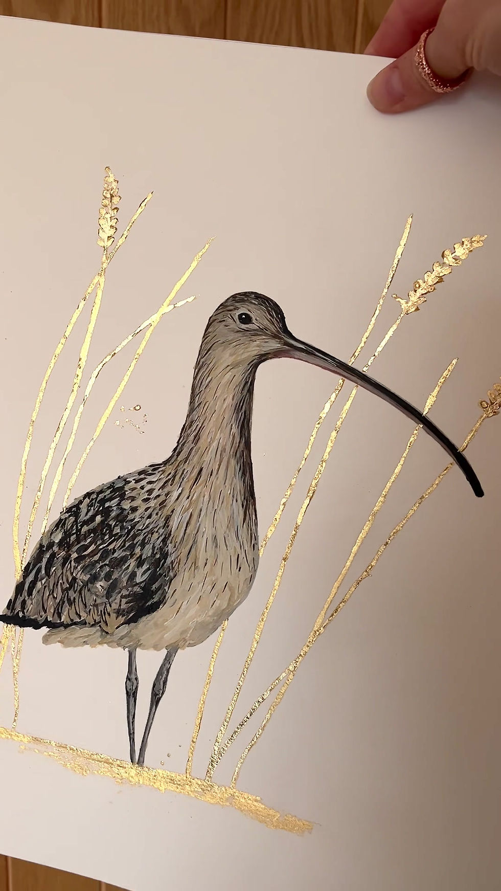 Thumbnail: “Curlew of the Exe Marshes”