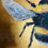 Thumbnail: Gold Bee Art