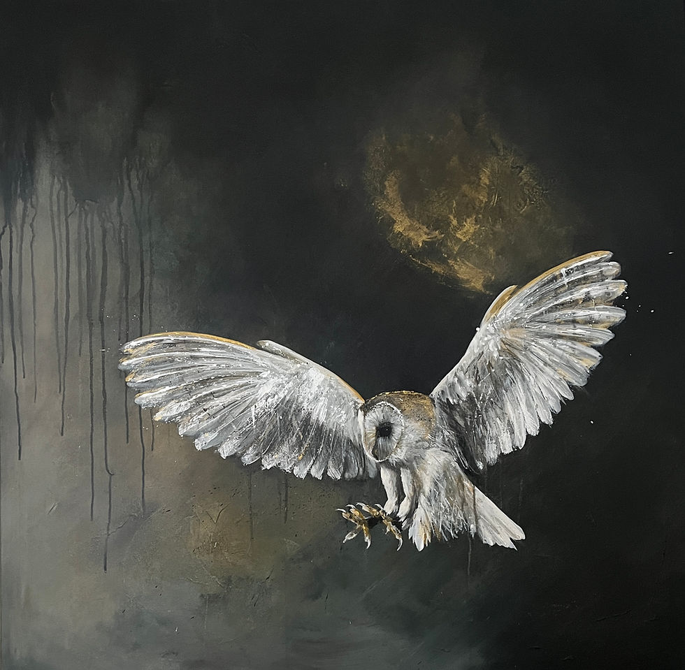 Original Barn Owl art for sale