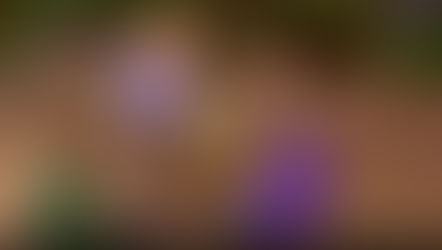 Jumanji: The Curse Returns está a caminho do Nintendo Switch!