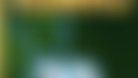 #TBT | Vida de Inseto – É diversão na certa!