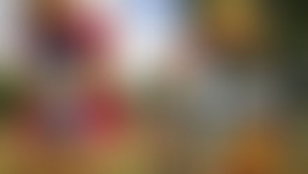 Análise | Turma da Mônica: Lições – Um lindo filme com vários ensinamentos importantíssimos!