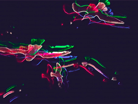 5EC59445-A096-4844-99B4-F3D6FC44E797.jpeg