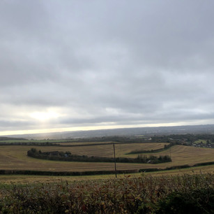 Bluebelll Hill