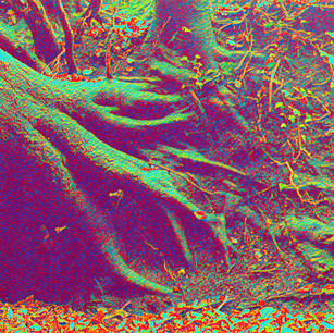 2119FF45-3AB0-45F7-A98D-AC7B80A195DD.jpeg