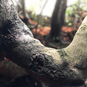 E106C70F-B667-4861-B922-F00EFB632D2A.jpeg