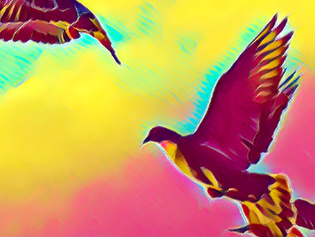 8655AADD-514C-48D3-BEC5-79AA3D60365A.jpeg