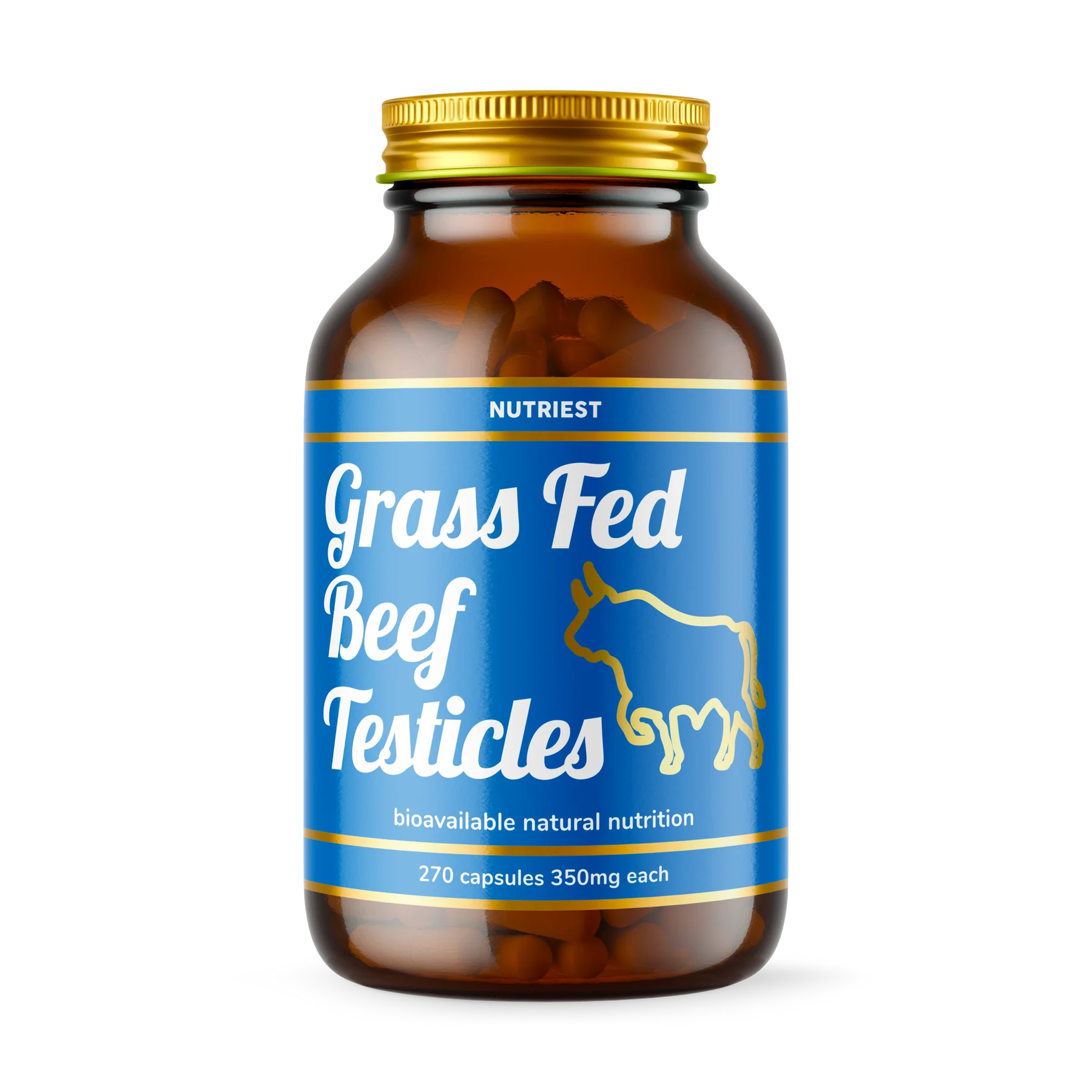 testicle.webp