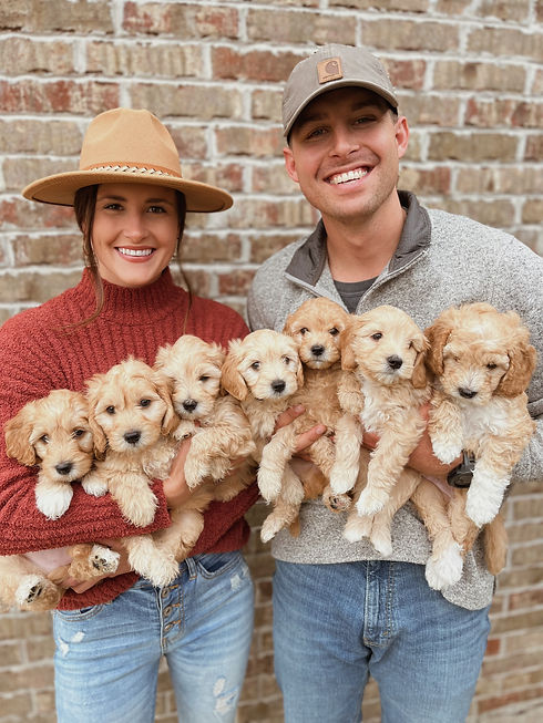 Puppy Family Pic.JPG
