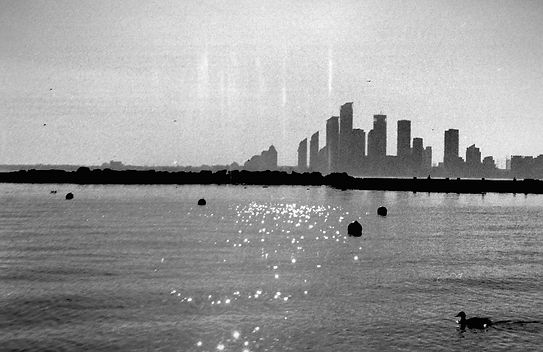 Lakeshore Spark.jpg