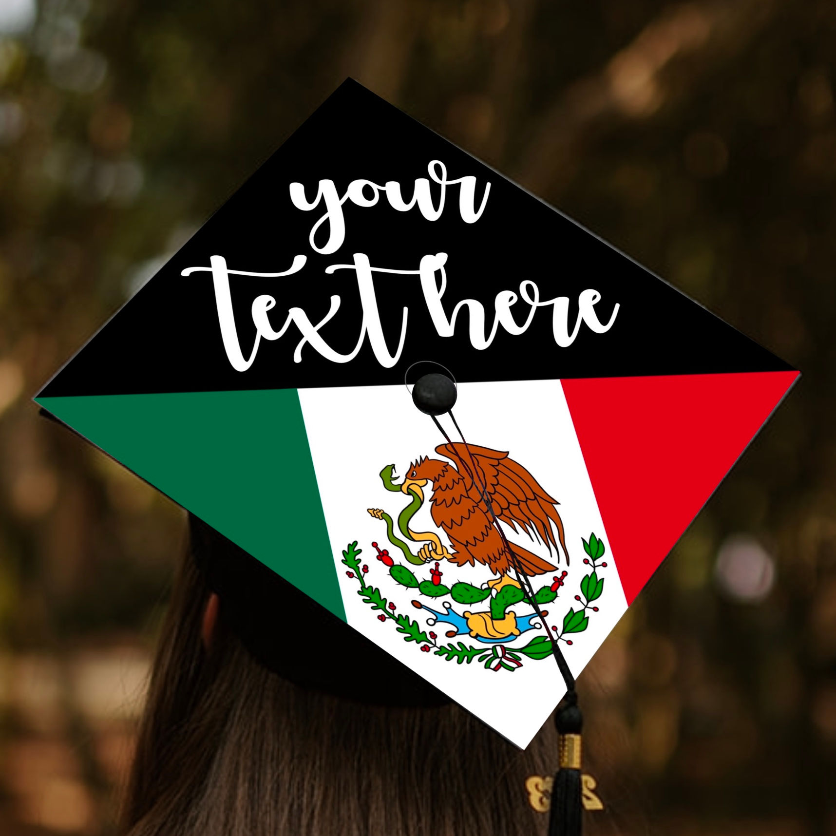 Custom Mexican Flag