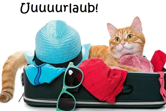 News Tierschutz Bingen