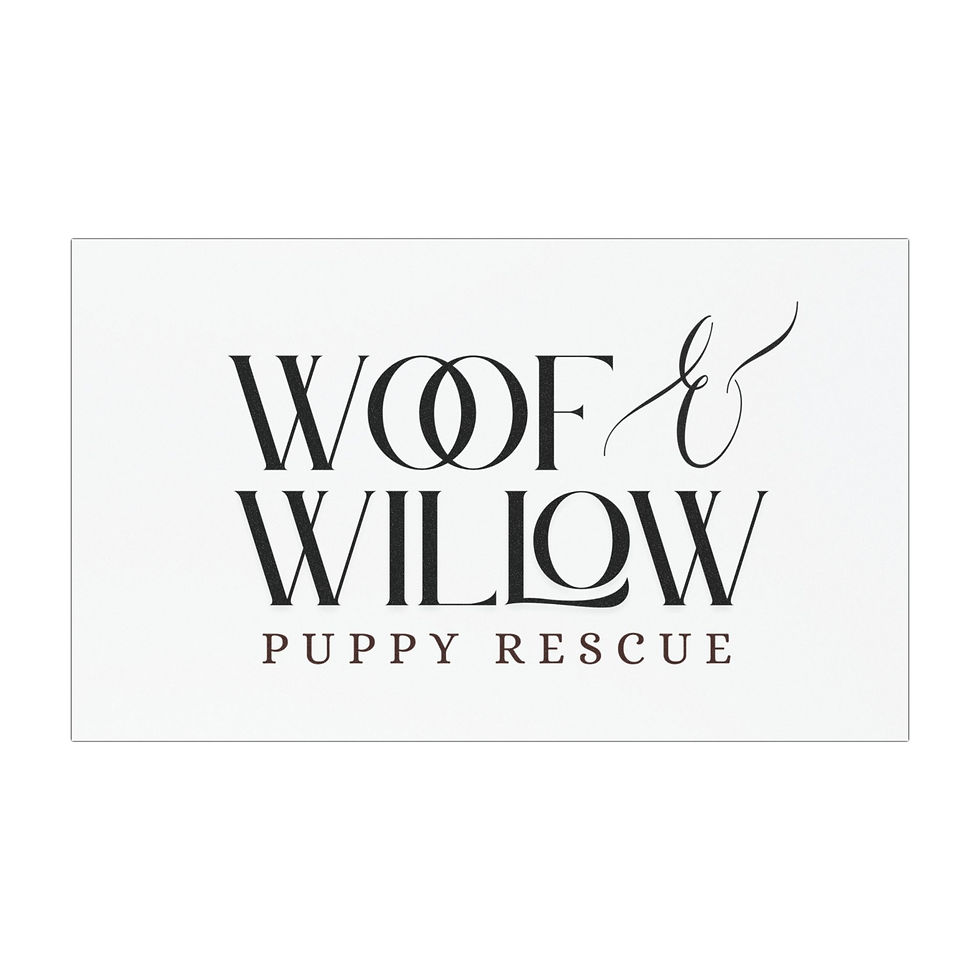 Thumbnail: Car Magnet - Woof and Willow Puppy Rescue