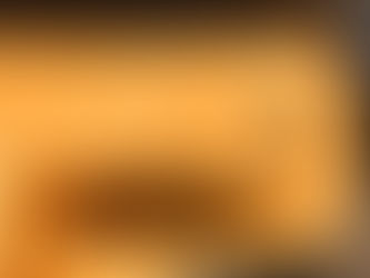 Clover - 4 Week Old Puppy