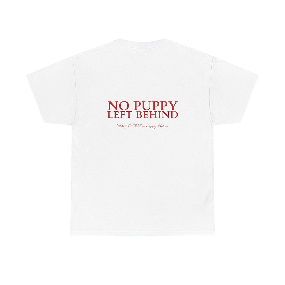 Thumbnail: NPLB T-Shirt