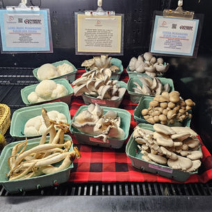 Gourmet Mushrooms