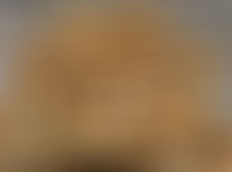 Chestnut Mushroom Recipes