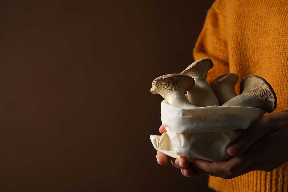 AdobeStock_664835216 1