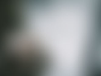 Frozen mushroom on a piece of wood