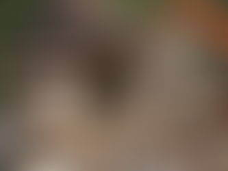 Zbouraná chata jako rekonstrukce? Soudy říkají jasné ne a zpřísňují pravidla pro výstavbu