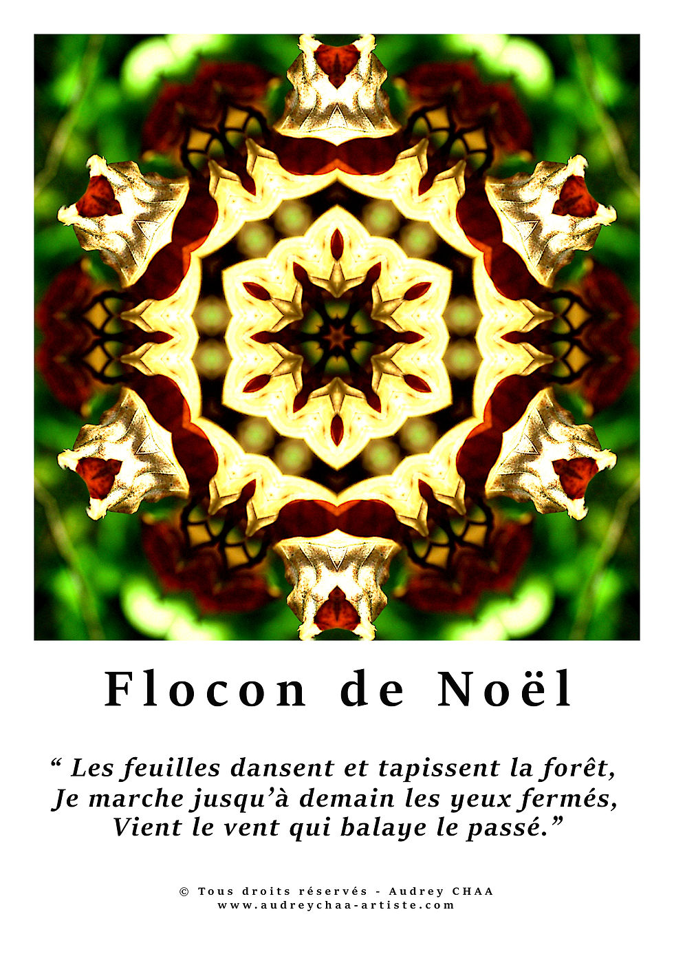 Affiche A3 "Flocon de Noel"